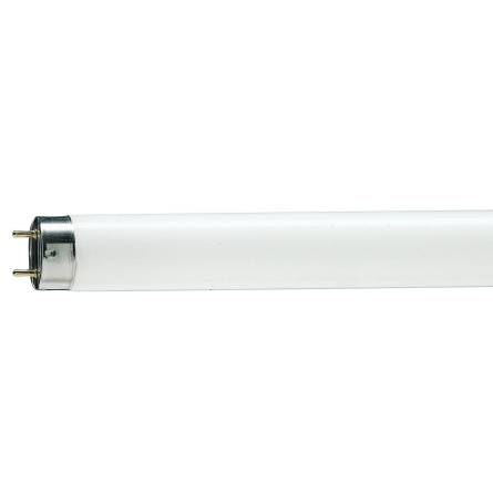 Лампа світлодіодна Т8-60 9 Вт 6500 (аналог 18 Вт) ENERLIGHT